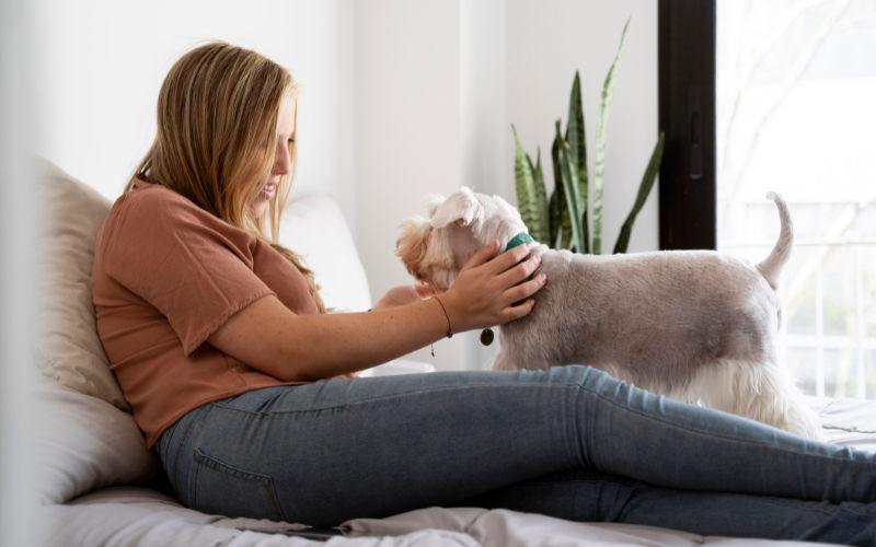 The Power of Pets in Addiction Recovery